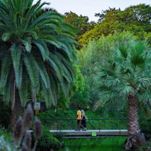 Two people walk across a bridge located in Ciutadella Park, while enjoying the green landscape. Learn how to describe the purpose of the image (opens in a new tab). Leave it empty if the image is purely decorative.