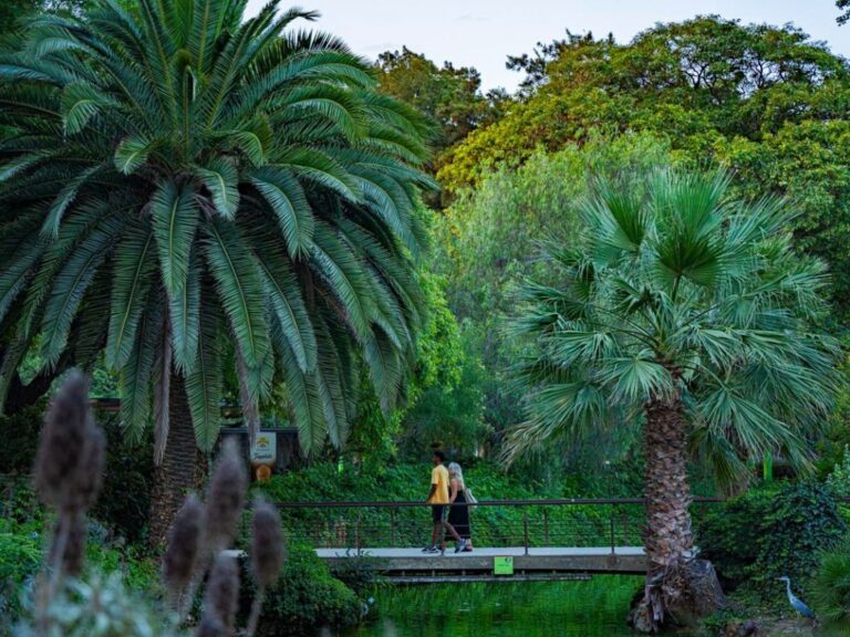 Two people walk across a bridge located in Ciutadella Park, while enjoying the green landscape. Learn how to describe the purpose of the image (opens in a new tab). Leave it empty if the image is purely decorative.