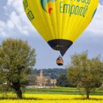 A hot air balloon is shown in the distance about to land in a meadow of yellow flowers.