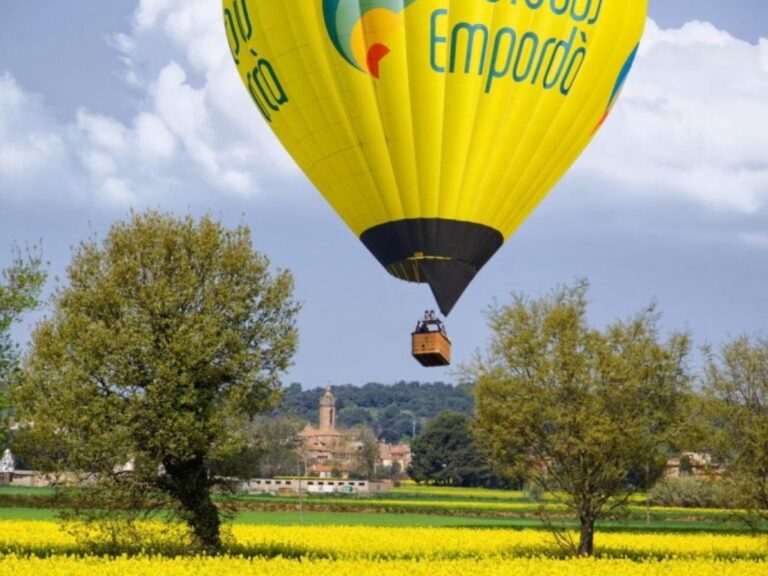 A hot air balloon is shown in the distance about to land in a meadow of yellow flowers.